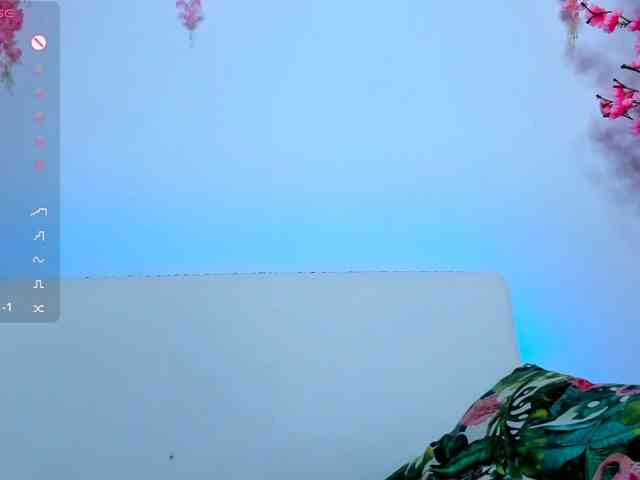 Beellami webcam