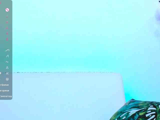 Beellami webcam