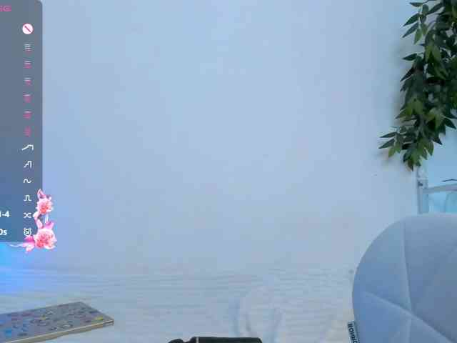 Beellami webcam
