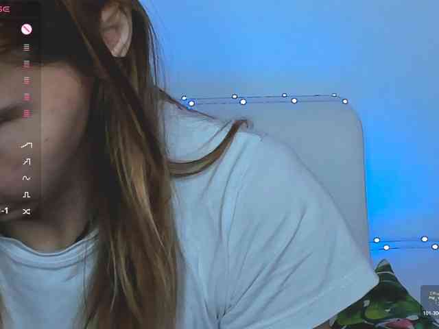 Beellami webcam