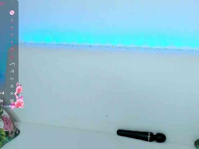 Beellami webcam