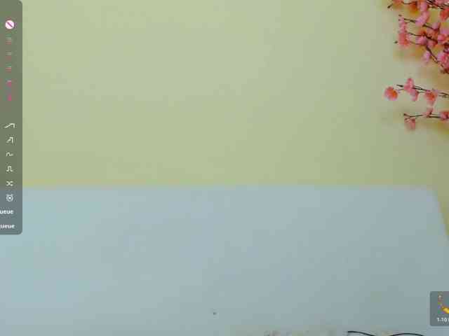 Beellami webcam
