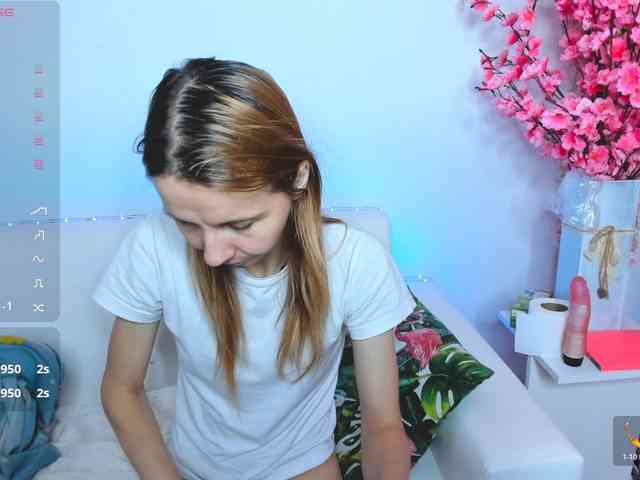 Beellami webcam