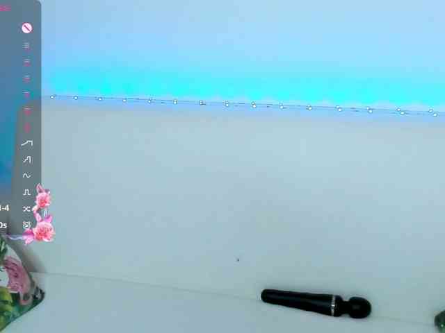 Beellami webcam