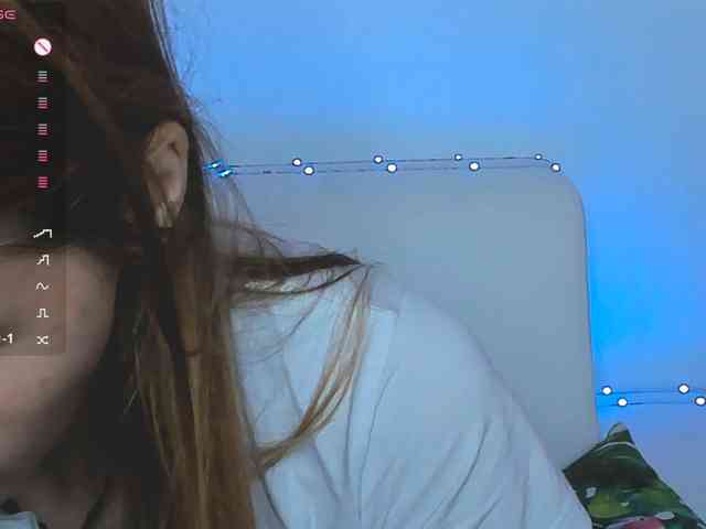 Beellami webcam