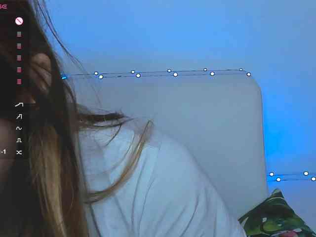Beellami webcam