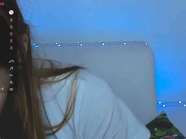 Beellami webcam