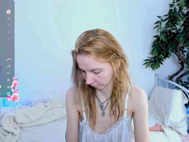 Beellami webcam
