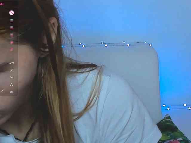 Beellami webcam
