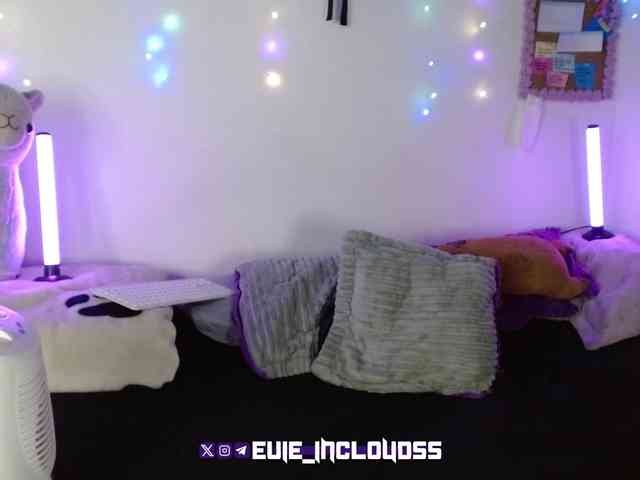 levi-cloud webcam