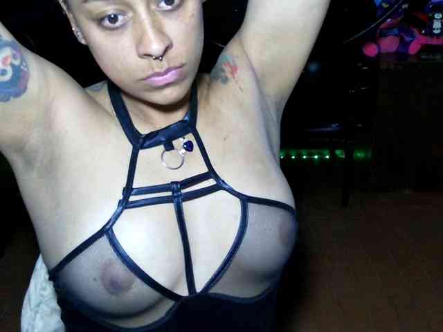 Modelo: Cata-Blue-
