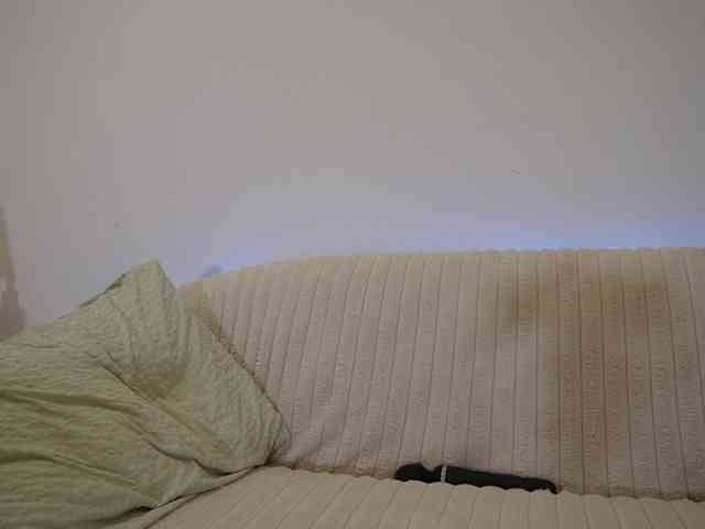 Nastyu-sha webcam