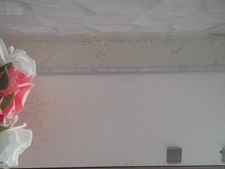 LunaBiely Porn Show