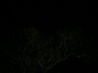 LunaBiely