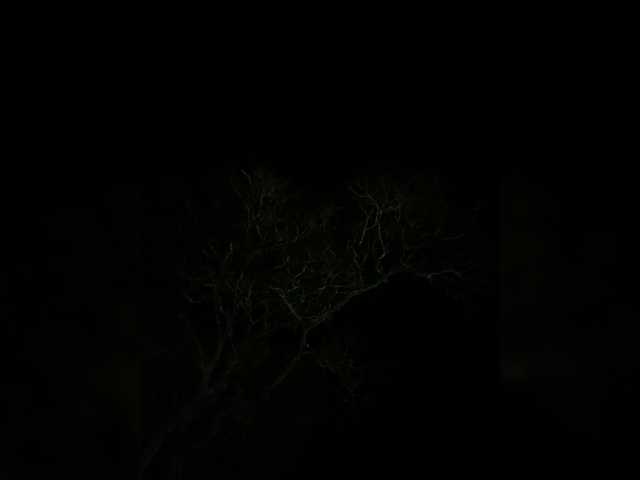 LunaBiely live cam on BongaCams