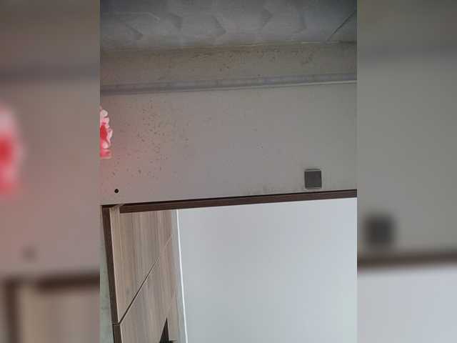LunaBiely live cam preview