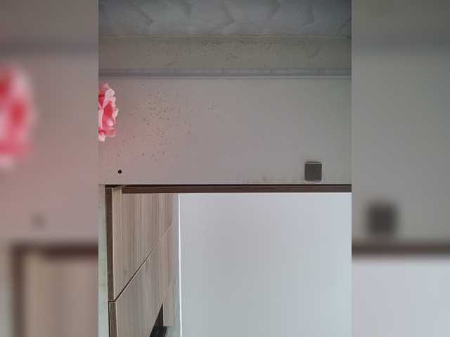 LunaBiely webcam