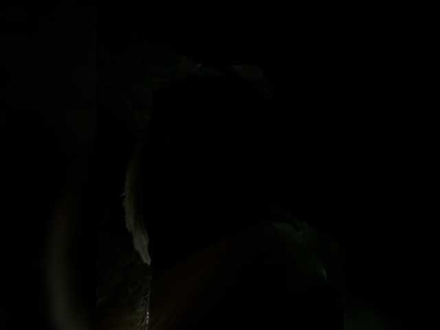 LunaBiely live cam on BongaCams