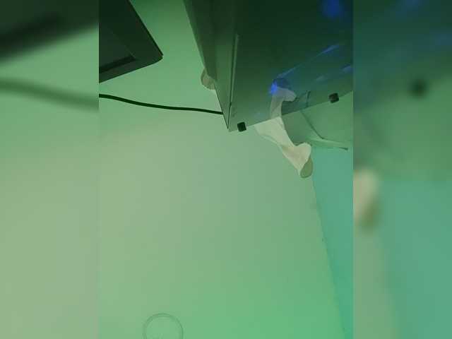 LunaBiely live cam preview