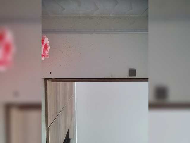 LunaBiely live cam preview