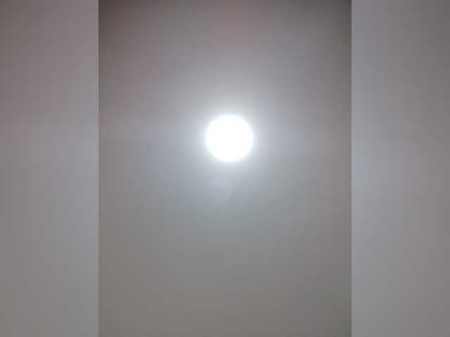 lunabiely online
