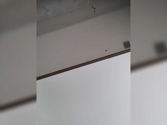 LunaBiely webcam