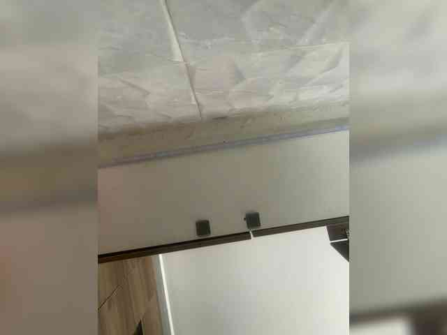 LunaBiely webcam