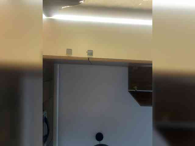 LunaBiely webcam