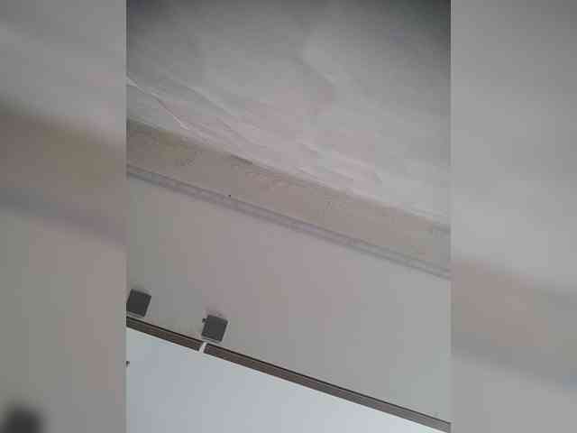 LunaBiely webcam