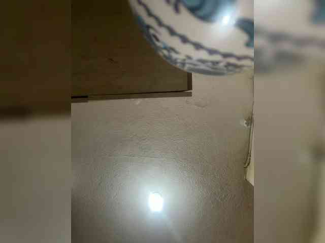 LunaBiely webcam