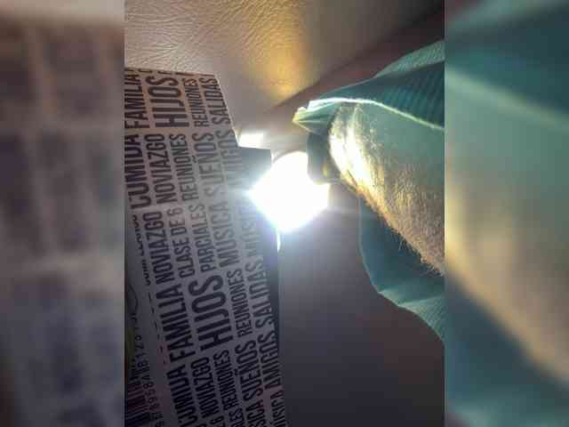 LunaBiely webcam