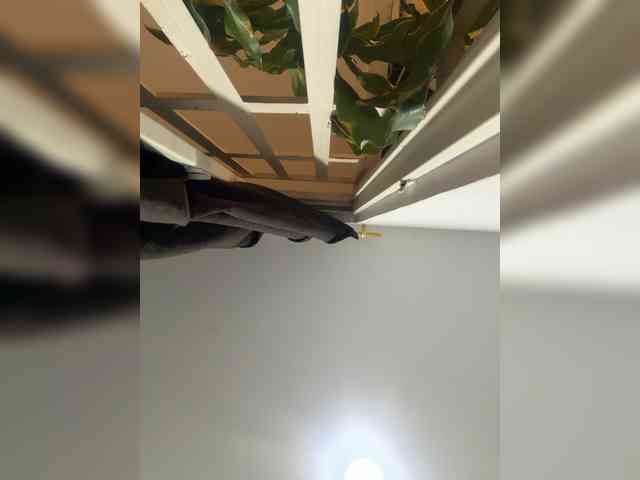 LunaBiely webcam