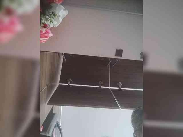 LunaBiely webcam