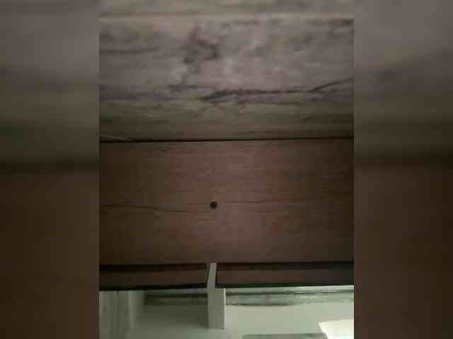LunaBiely webcam