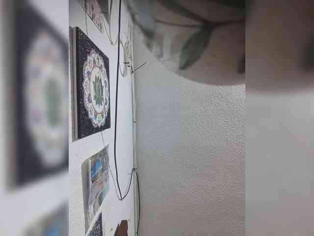 LunaBiely webcam