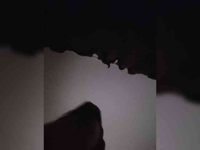 LunaBiely webcam