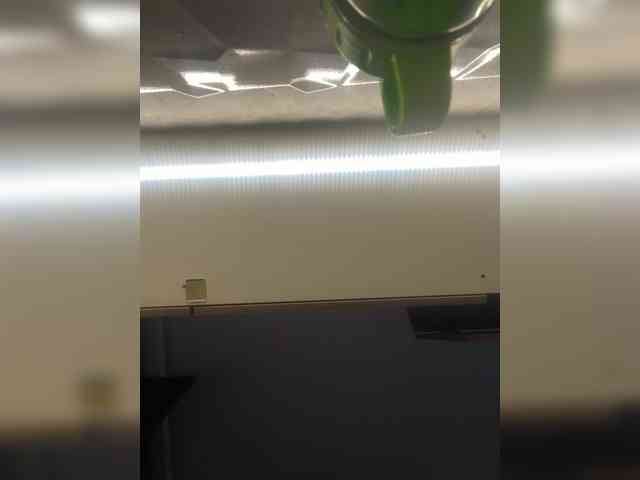 LunaBiely webcam