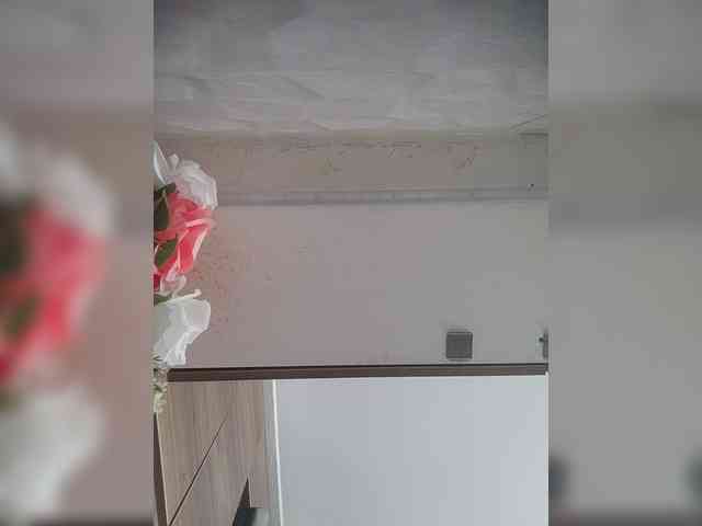 LunaBiely webcam