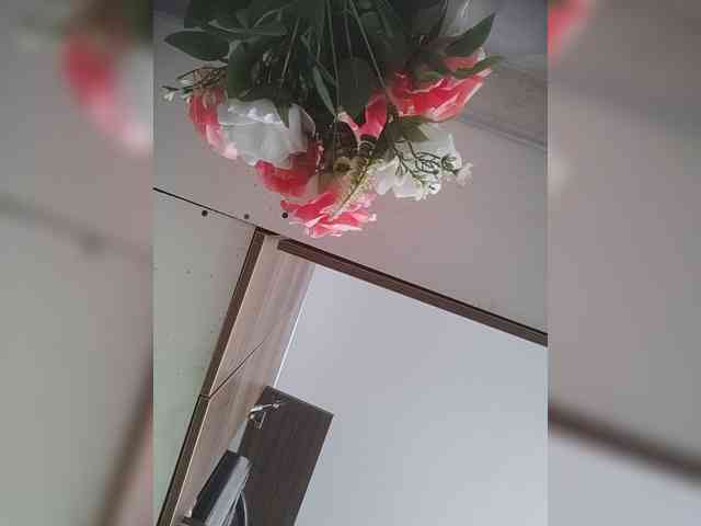 LunaBiely webcam