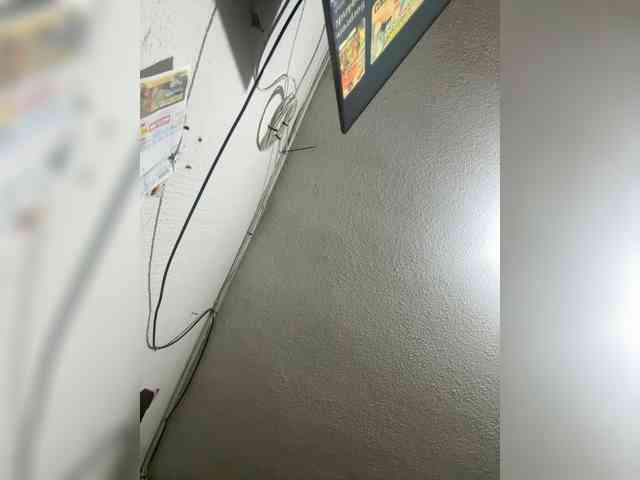 LunaBiely webcam