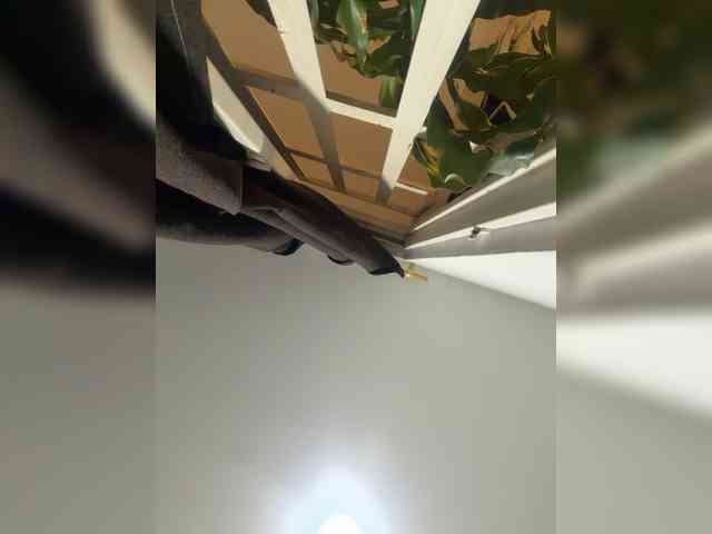 LunaBiely webcam