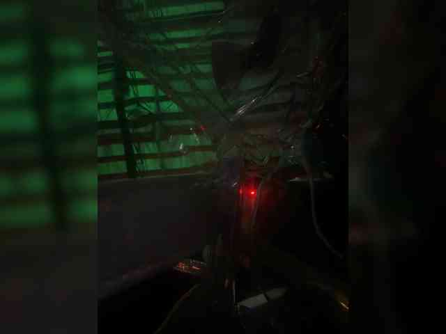 LunaBiely webcam