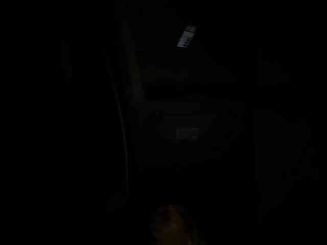 LunaBiely webcam