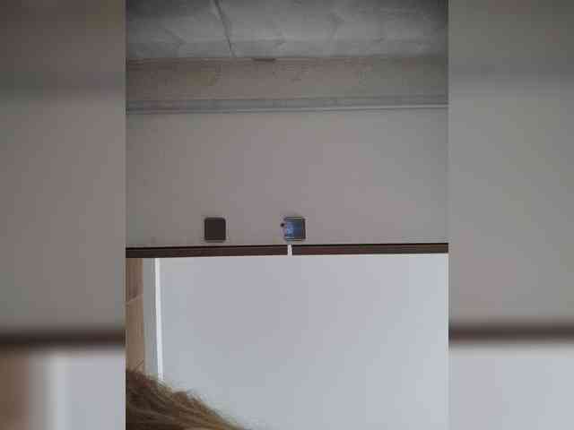 LunaBiely webcam