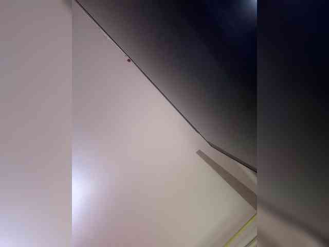 LunaBiely webcam