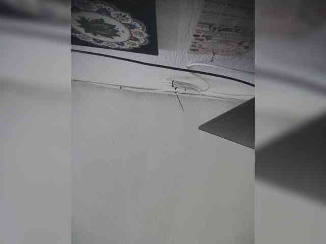 LunaBiely webcam
