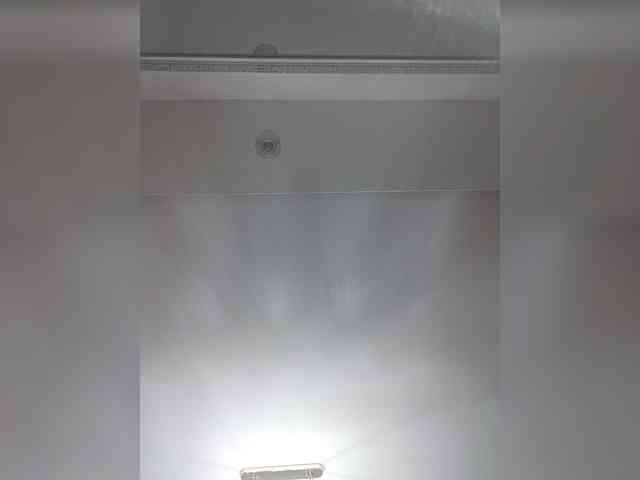 LunaBiely webcam