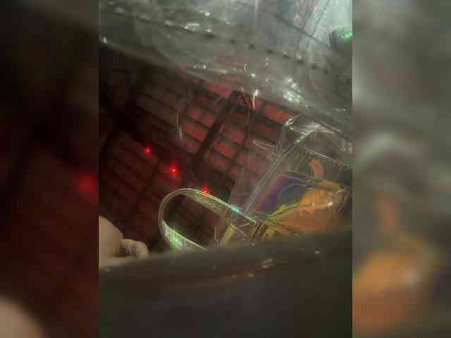 LunaBiely webcam