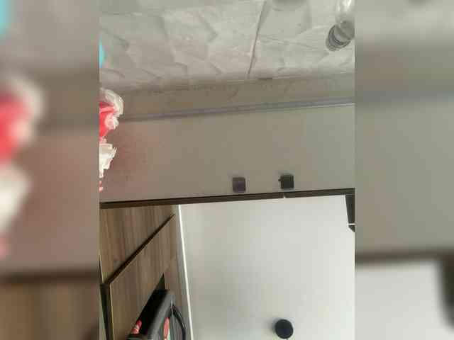 LunaBiely webcam