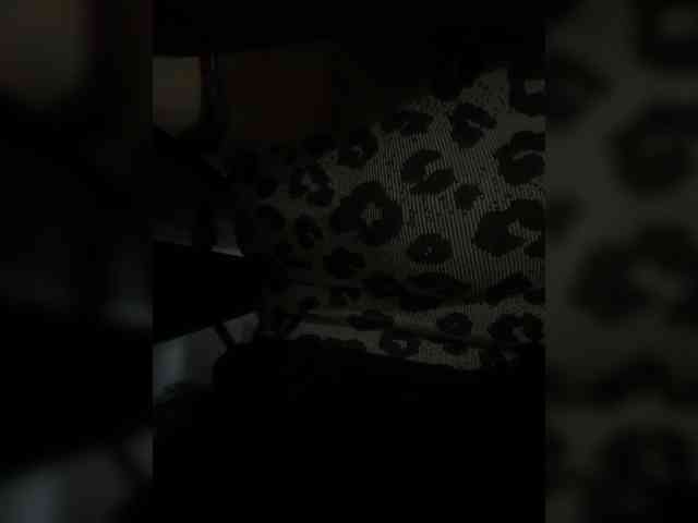 LunaBiely webcam